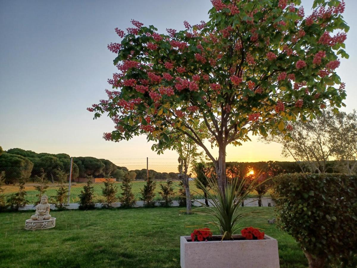 La Espiga Villa Valladolid Bagian luar foto