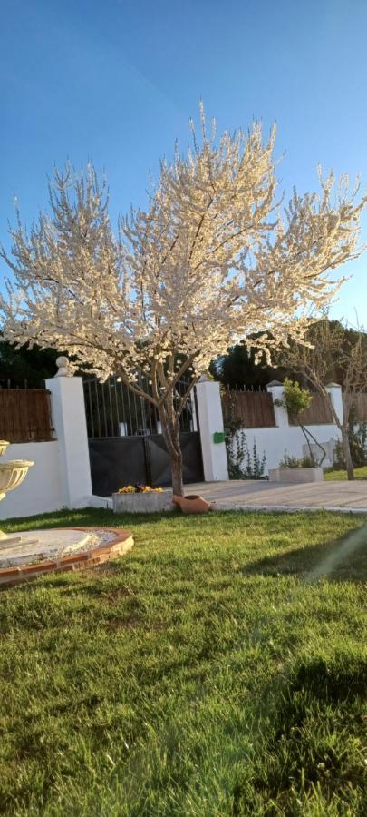 La Espiga Villa Valladolid Bagian luar foto